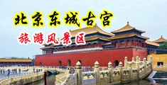 无码野战自慰超b在线观看中国北京-东城古宫旅游风景区